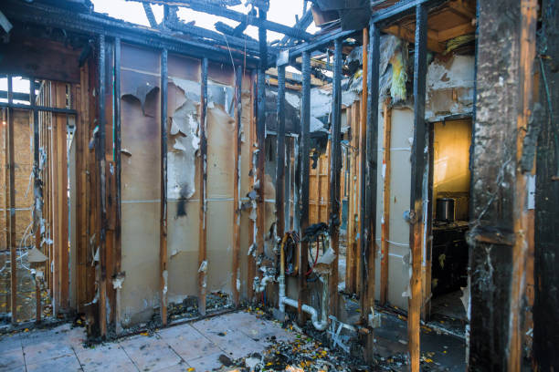 Professional Fire Damage Removal technician working in Rockford, MI